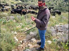 مستوطنون يعتدون بالضرب على راعٍ غرب سلفيت