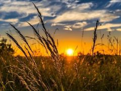 حالة الطقس: ارتفاع ملموس على درجات الحرارة