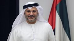 قرقاش: الإمارات قد تشارك في جهد دولي لتأمين مضيق هرمز بقيادة أمريكا