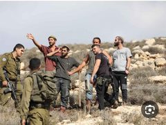 مستوطنون يعتدون على مواطنين في بيت امرين شمال غرب نابلس