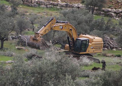 الاحتلال يجرف أراضي ويقتلع أشجار زيتون في عين يبرود شرق رام الله