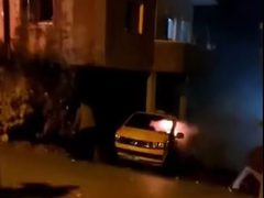 المستوطنون يصعّدون هجماتهم على المواطنين في الضفة الغربية