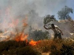 مستعمرون يحرقون مركبات وممتلكات المواطنين شمال غرب نابلس