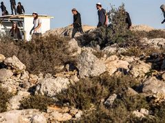 مستعمرون يسرقون فرسا عند حاجز بيت فوريك