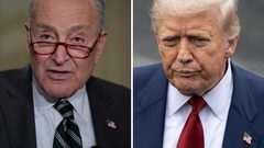 ترامب يهاجم تشاك شومير: "كان يجب أن يقاتل إلى جانب فلسطين"