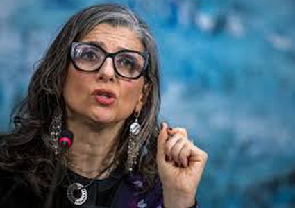 فرانشيسكا ألبانيزي: العالم يسمح لإسرائيل بتعذيب الفلسطينيين