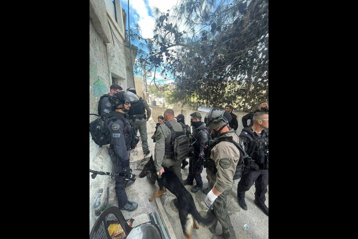 محافظة القدس: الاحتلال يواصل القتل والإخلاء القسري ويخرق القانون الدولي