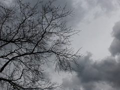 حالة الطقس: أجواء شديدة البرودة وأمطار