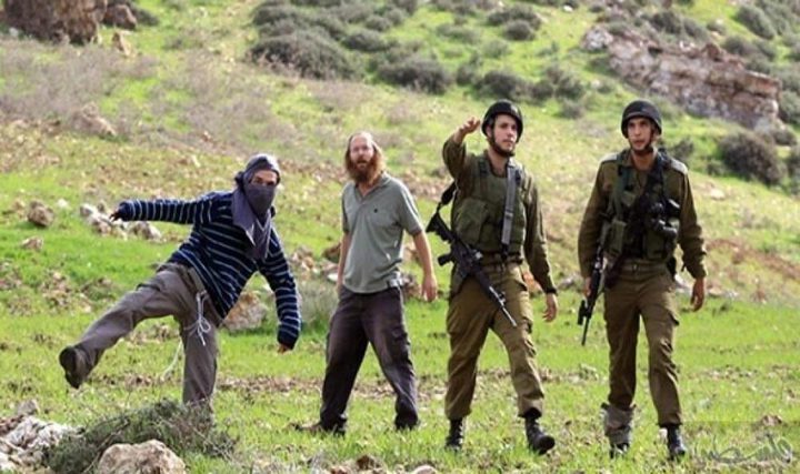 إصابات جراء اعتداء مستوطنين على المواطنين شمال شرق طوباس