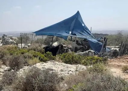مستوطنون ينصبون خياما في أراضي بيت امرين شمال غرب نابلس