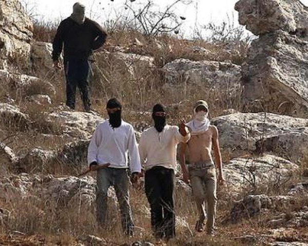 شبان يتصدون لهجوم مستوطنين ويسترجعون أغنام قرب العيزرية