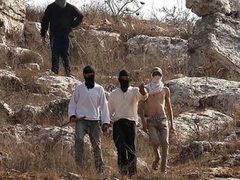 شبان يتصدون لهجوم مستوطنين ويسترجعون أغنام قرب العيزرية