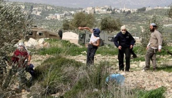 مستوطنون يهاجمون قرية يبرود شرق رام الله