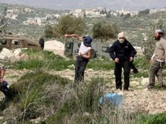 مستوطنون يهاجمون قرية يبرود شرق رام الله