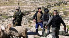 إصابة طفل واعتقال 4 مواطنين خلال هجوم للمستوطنين في مسافر يطا