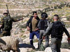 إصابة طفل واعتقال 4 مواطنين خلال هجوم للمستوطنين في مسافر يطا