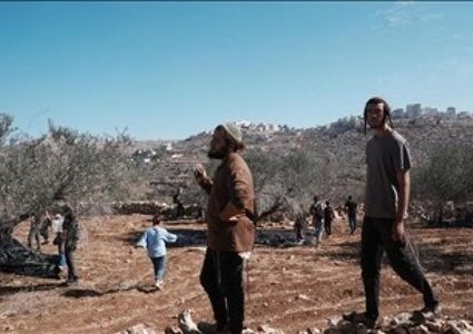 مستوطنون يعتدون على ممتلكات المواطنين في قرية مخماس شمال شرق القدس