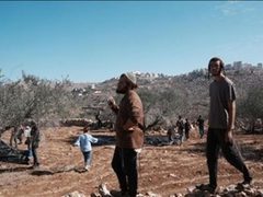 مستوطنون يعتدون على ممتلكات المواطنين في قرية مخماس شمال شرق القدس