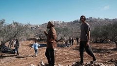 مستوطنون يعتدون على ممتلكات المواطنين في قرية مخماس شمال شرق القدس