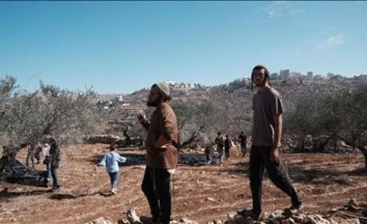 مستوطنون يعتدون على ممتلكات المواطنين في قرية مخماس شمال شرق القدس