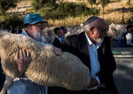 محافظة القدس تحذّر من محاولات مستوطنين إدخال القرابين الحيوانية إلى الأقصى