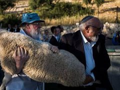 محافظة القدس تحذّر من محاولات مستوطنين إدخال القرابين الحيوانية إلى الأقصى