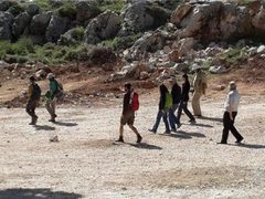 مستوطنون يقتحمون بلدة بيتا جنوب نابلس