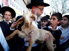 مستوطنون يحاولون إدخال قرابين "حيوانية" للبلدة القديمة بالقدس المحتلة