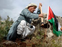 50 عاما على ذكرى يوم الأرض