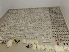 الجيش الأردني يحبط 10 محاولات تهريب مخدرات