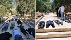 مستوطنون يؤدون طقوسًا تلمودية عند باب الساهرة في القدس