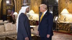 محمد بن زايد وترامب يبحثان هاتفياً تطورات الأوضاع في المنطقة