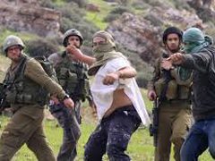 مستتوطنون يحطمون مركبات المواطنين في سلفيت