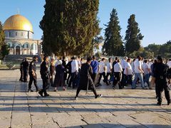 سلطات الاحتلال تواصل إغلاق المسجد الأقصى لليوم الـ34 ودعوات لذبح القرابين داخله