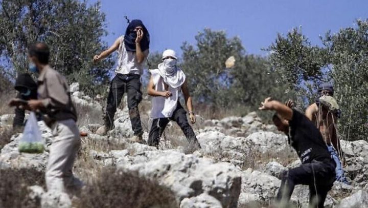 مستوطنون يهاجمون بلدة ترمسعيا