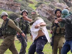 مستوطنون يقتحمون خربة مسعود جنوب جنين