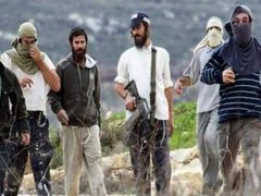 مستوطنون يهاجمون تجمعاً بدوياً قرب العوجا ويستولون على ممتلكات ويخربون أخرى