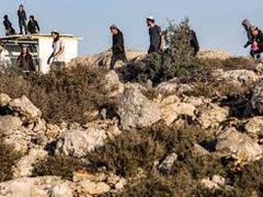 مستوطنون يعتدون على مواطن في مسافر يطا ويهاجمون مركبات المواطنين شرق الخليل