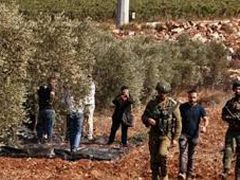 إصابة مزارع برضوض جراء اعتداء مستوطنين عليه غرب سلفيت