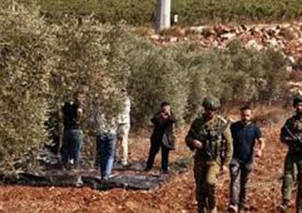 إصابة مزارع برضوض جراء اعتداء مستوطنين عليه غرب سلفيت