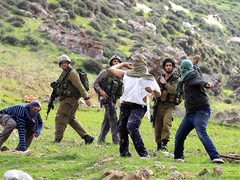 مستوطنون يعتدون على مزارعين ويمنعونهم من دخول أراضيهم في زبدة جنوب جنين