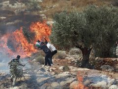 المستوطنون يحرقون القرى ويهاجمون الأهالي تحت حماية الجيش في الضفة الغربية