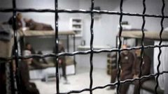 الاحتلال يرفض الاستئناف على قرار الاعتقال الإداري بحق 38 أسير