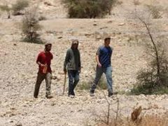 مستوطنون يداهمون تجمع "حلق الرمان" غرب أريحا