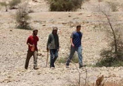 مستوطنون يداهمون تجمع "حلق الرمان" غرب أريحا