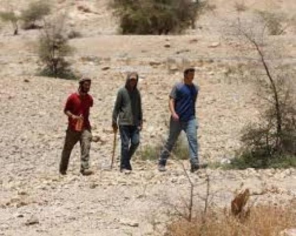 مستوطنون يداهمون تجمع "حلق الرمان" غرب أريحا