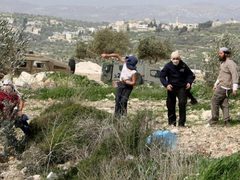 مستعمرون يعتدون على ثلاث مواطنين في نابلس