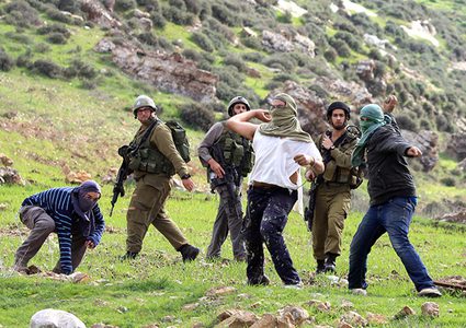 مستعمرون يقتحمون خربة سروج في جنين