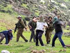 مستعمرون يقتحمون خربة سروج في جنين