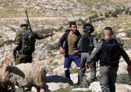 قوات الاحتلال تطارد رعاة الاغنام في كيسان شرق بيت لحم